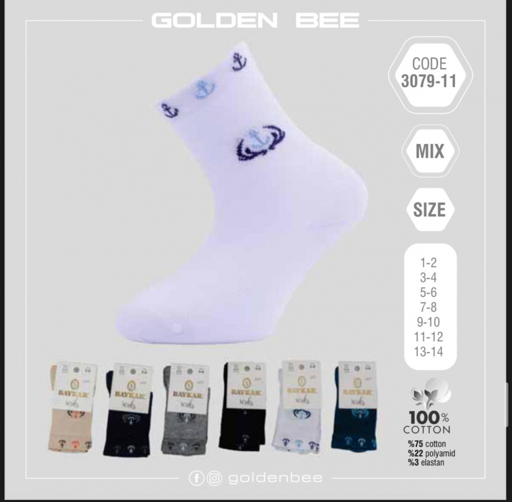 Носки для мальчика 3079